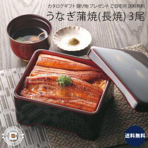 山道養鰻場のうなぎ蒲焼 長焼 3尾 セット 鰻 魚 魚介 加工品 上等品 高級品 プレゼント 贈り物 ギフト 贈答用 カタログギフト 送料無料｜besign