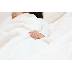 ミントン シール織綿毛布(毛羽部分) 寝具 寝装具 のし ラッピング 包装