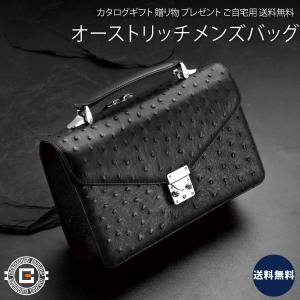 オーストリッチ バッグ メンズ ビジネスバッグ : IMPショップ