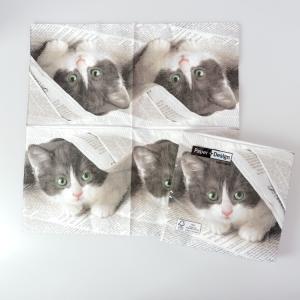 ランチナプキン 20枚入 PAPER+DESIGN ペーパーデザイン