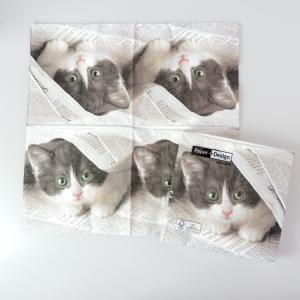 ランチナプキン 20枚入 PAPER+DESIGN ペーパーデザイン ペーパーナプキン ドイツ製 33×33cm 子猫 PD21810 在庫有り｜besign