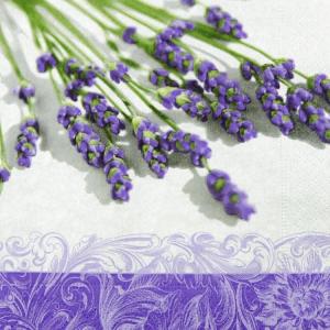 ランチナプキン 20枚入 PAPER+DESI...の詳細画像4