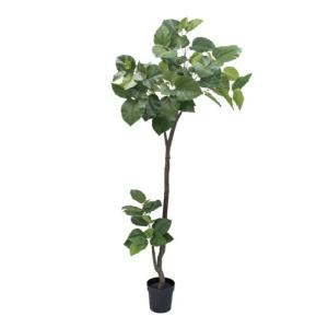 ウンベラータポット (組立式) 208cm アーティフィシャルグリーン 人工観葉植物 簡易鉢付きグリーン VR22013の商品画像
