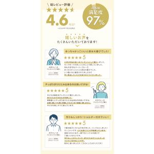 キックボード 子ども 折りたたみ Kronos...の詳細画像2
