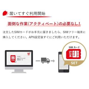 プリペイド SIMカード 全日通 AJC 2G...の詳細画像1