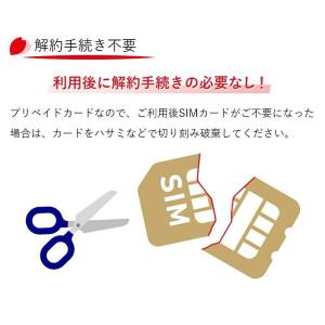 プリペイド SIMカード 全日通 AJC 2G...の詳細画像2