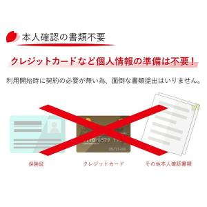 プリペイド SIMカード 全日通 AJC 2G...の詳細画像3