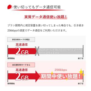 プリペイド SIMカード 全日通 AJC 2G...の詳細画像4