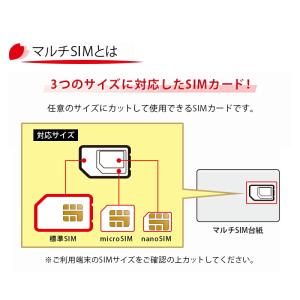 プリペイド SIMカード 全日通 AJC 2G...の詳細画像5