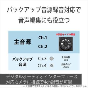 ソニー ECM-M1 ショットガンマイクロフォンの詳細画像4