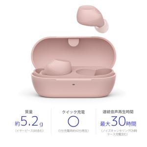 ソニー ワイヤレス イヤホン 左右分離 ノイズ...の詳細画像1