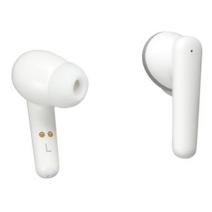 朝日電器 AS-E002 集音器 イヤーピースタイプ 両耳用 カナル型