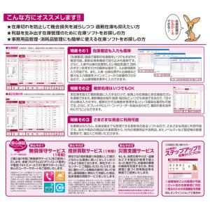 BSLシステム研究所 かるがるできる在庫26 ...の詳細画像1