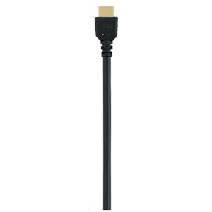 パナソニック RP-CHK30-K 4K60p/...の商品画像