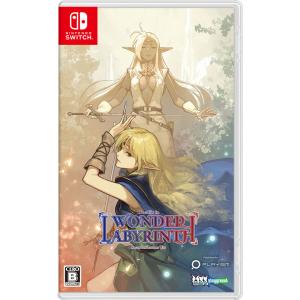 ロードス島戦記−ディードリット・イン・ワンダーラビリンス− Nintendo Switch　HAC-...