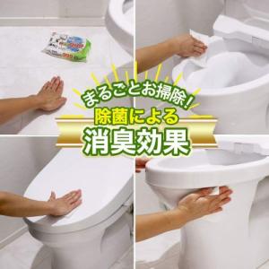 レック GN流せる除菌トイレクリーナー24枚4...の詳細画像2