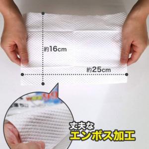 レック GN流せる除菌トイレクリーナー24枚4...の詳細画像5