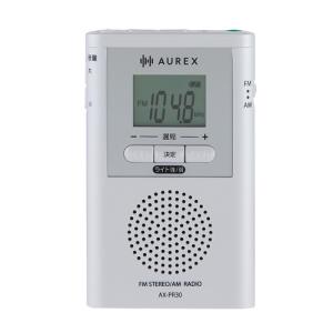 ダイニチ電子 WPBS1006 10.1インチ ポータブルブルーレイディスク／DVD