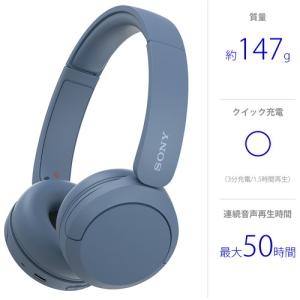 【在庫限り】ソニー WH-CH520 L ワイ...の詳細画像1