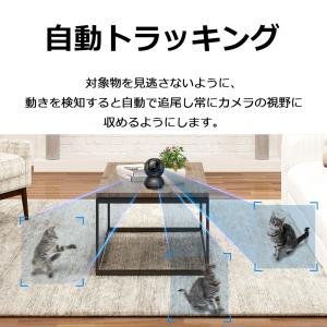 【推奨品】TP-Link(ティーピーリンク) ...の詳細画像3