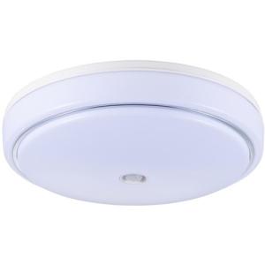 オーム電機 LT-Y18D-G-PIR センサー付LED内玄関灯 昼光色