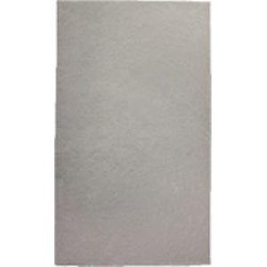 ソースネクスト SQ1-PECFL-JP Molekule Air Pro (モレキュル エアー