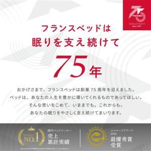 フランスベッド ソファベッド ビズ グリーンの詳細画像1