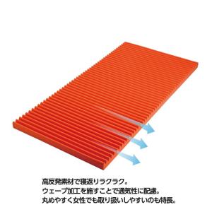 【期間限定大特価】[シングル]西川 Nishi...の詳細画像2