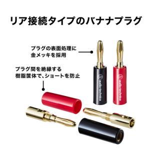 オーディオテクニカ AT6301a バナナプラグ...の商品画像