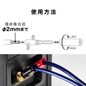 オーディオテクニカ AT6301a バナナプラ...の詳細画像1