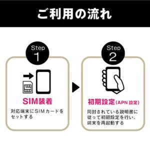 ベネフィットジャパン BJYASIM20GB1...の詳細画像2