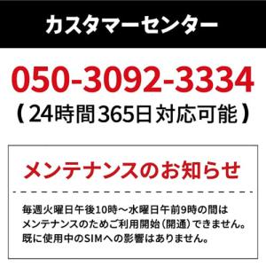 ベネフィットジャパン BJYASIM20GB1...の詳細画像3