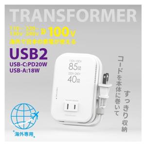 カシムラ WT-80M 海外用薄型2口変圧器 ...の詳細画像1