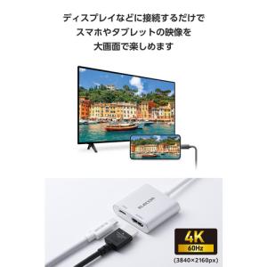 エレコム MPA-CHDMI100SV USB...の詳細画像2