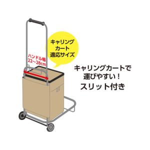 THERMOS サーモスソフトクーラー RFD...の詳細画像5