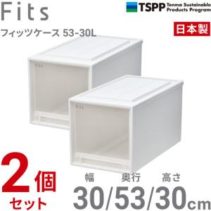 天馬 フィッツケース 5330L 2個組 高さ...の詳細画像1