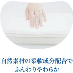 大王製紙 エリエールティシュー 180W 5Pの詳細画像2