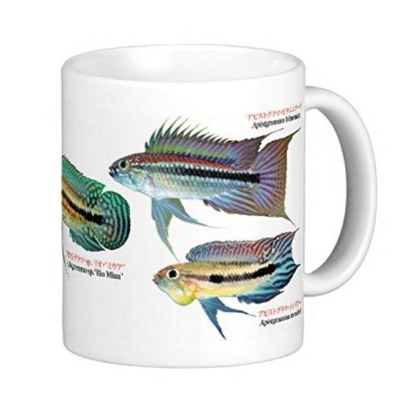 アピストグラマの仲間のマグカップ：フォトマグ（世界の熱帯魚シリーズ）