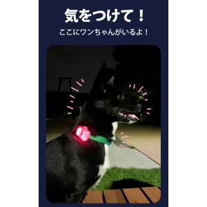 BITE ME バイトミー ジェリーベアお散歩...の詳細画像5