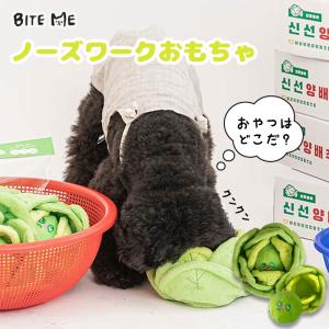 クーポンで最大500円OFF BITE ME バイトミー キャベツノーズワークトイ｜犬 おもちゃ 犬用おもちゃ 犬のおもちゃ ノーズワーク 知育トイ  韓国｜ベストフレンズ Yahoo!店