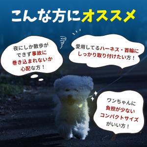 犬 散歩 LEDライト 7色|シリコン お散歩...の詳細画像1
