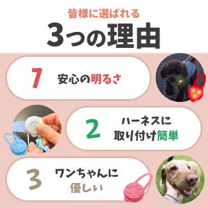 犬 散歩 LEDライト 7色|シリコン お散歩...の詳細画像2