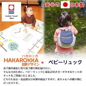 身長計ガーゼケット ベビーリュック セット ハ...の詳細画像1
