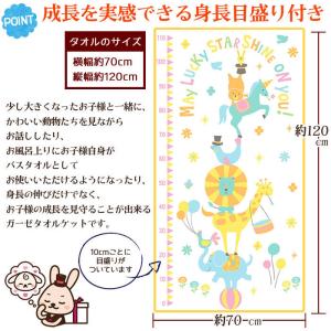今治タオル 5点セット アニマルサーカス 身長...の詳細画像4