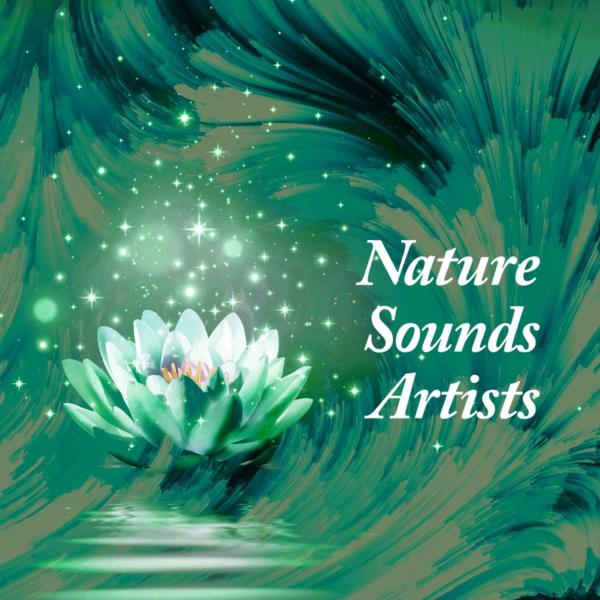 Summer in the Forest