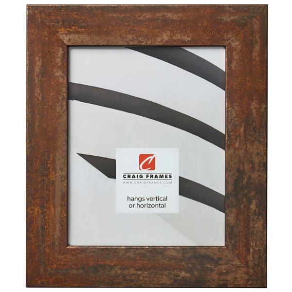 Craig Frames Bauhaus 200 Picture Frame, 12 x 36 In...