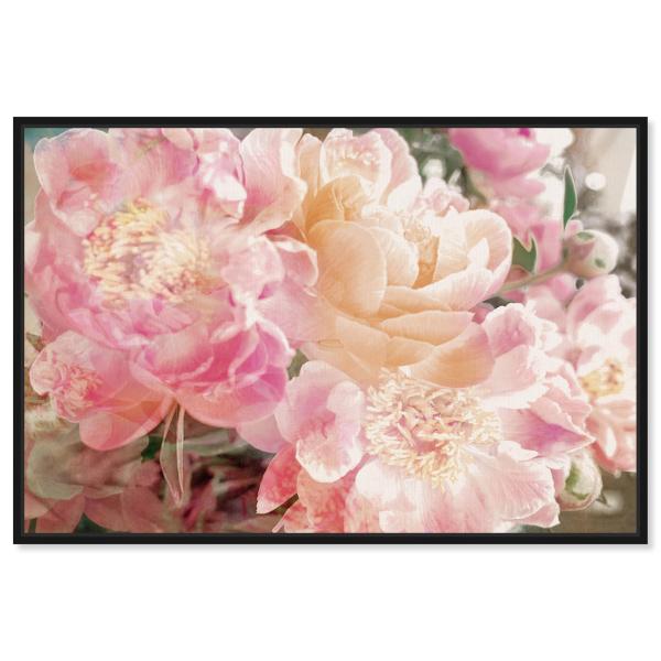The Oliver Gal Artist Co. Floral and Botanical Fra...