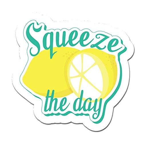 MightySkins Squeeze The Day 2 Peel and Stick Art R...
