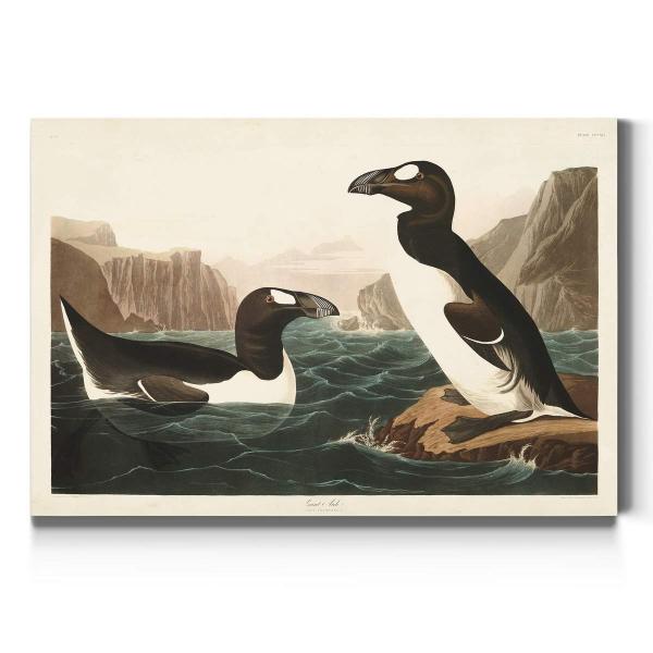 Renditions Gallery Great Auk by John James Audubon...