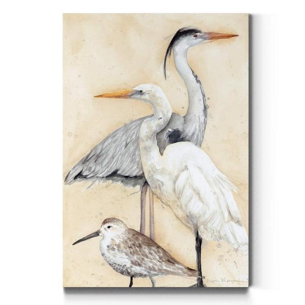 Renditions Gallery AZ-PortAmls04-tto-WC22-144175Z-...